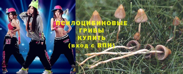 ешки Дмитриев
