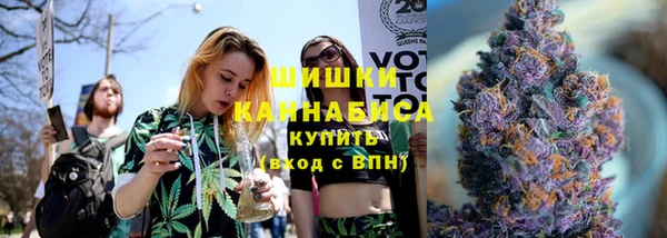 ешки Дмитриев