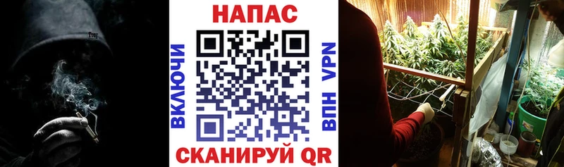 Бошки марихуана семена  Купить  Медногорск 